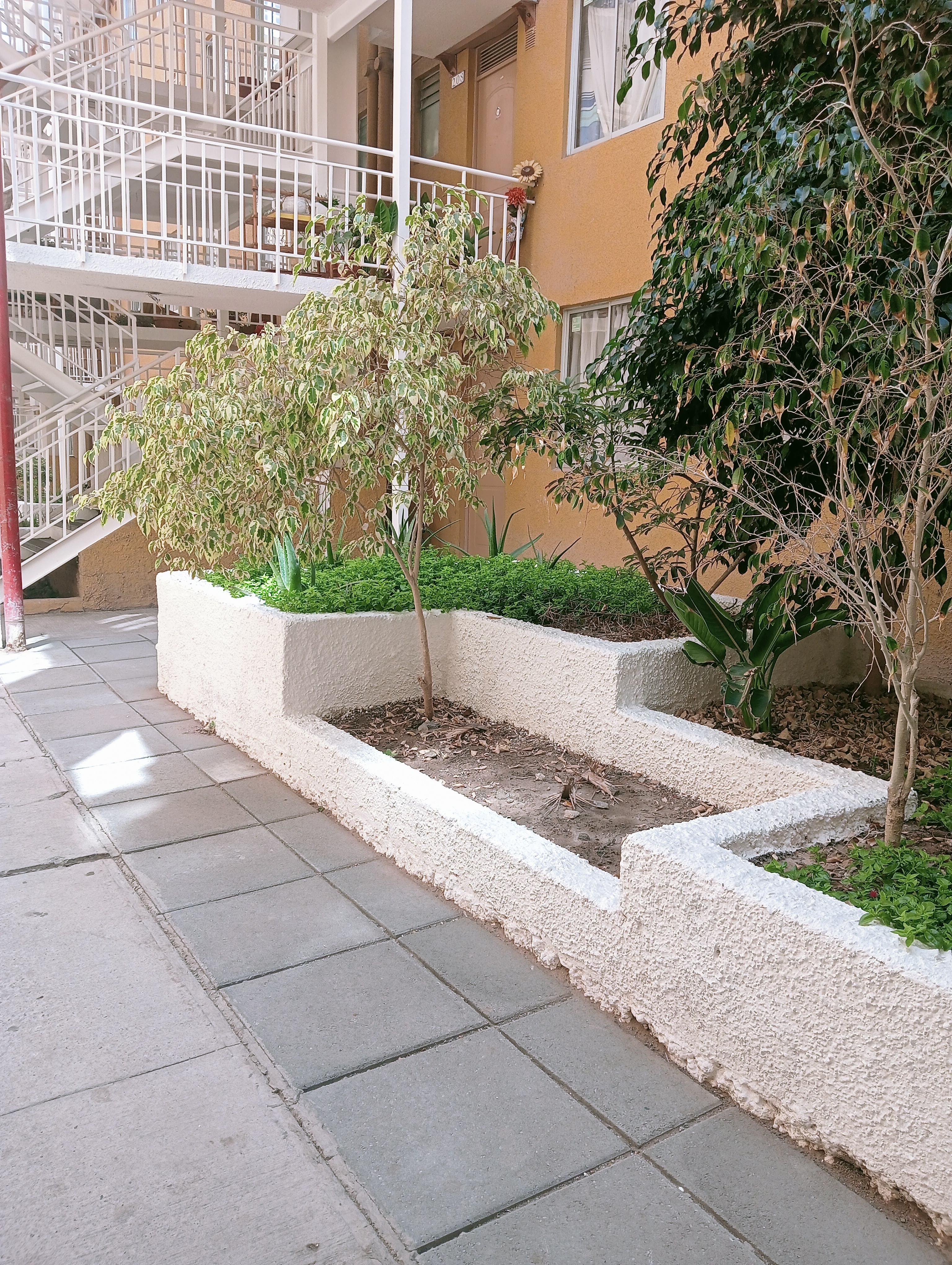 Imagen 3